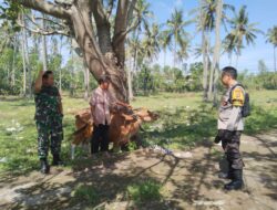Sosialisasi Polri: Lahan Pekarangan sebagai Solusi Pangan Lokal