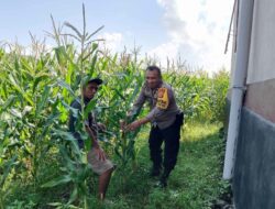 Inisiatif Polri Tingkatkan Ketahanan Pangan Melalui Pendampingan Petani Lokal