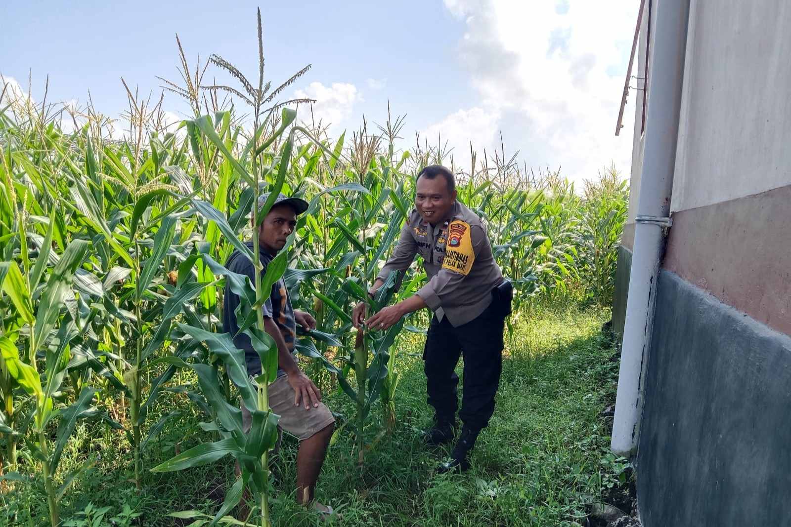 Optimalisasi Lahan Kosong Desa Bagik Polak Barat untuk Ketahanan Pangan
