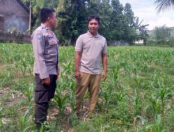 Kepolisian Kuripan Gencarkan Program Pangan Mandiri Warga