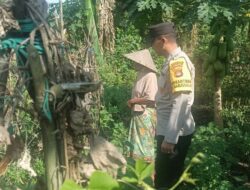 Gerung Kembangkan Pertanian dan Peternakan Demi Kemandirian Pangan