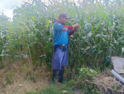 Silaturahmi Bhabinkamtibmas: Dukung Petani dan Jaga Kamtibmas