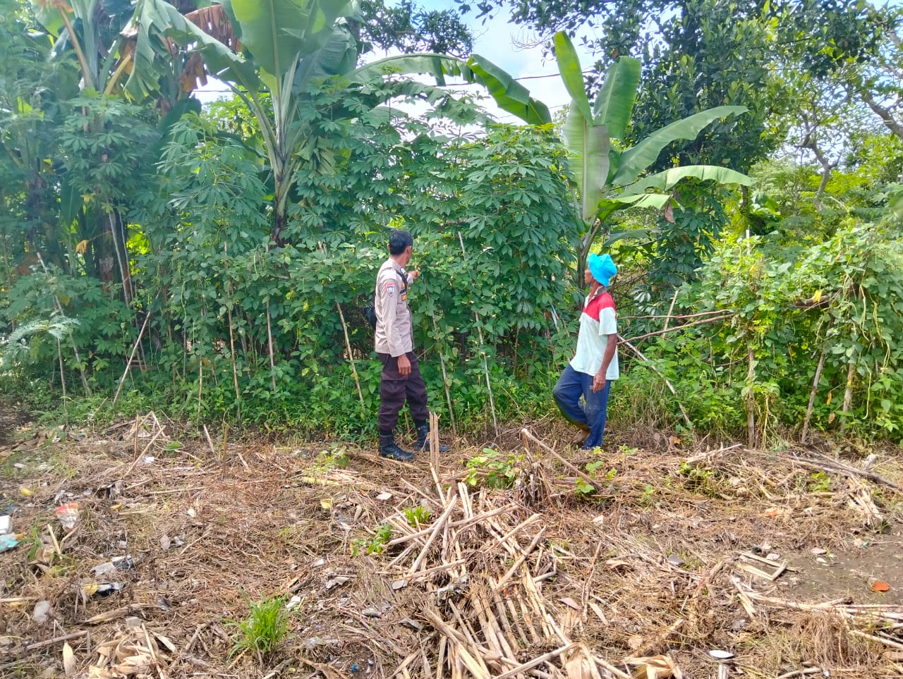 Bhabinkamtibmas Desa Rumak Aktif Edukasi Warga Soal Swasembada Pangan