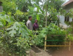 Polsek Gerung Dorong Mandiri Pangan Warga Desa Suka Makmur