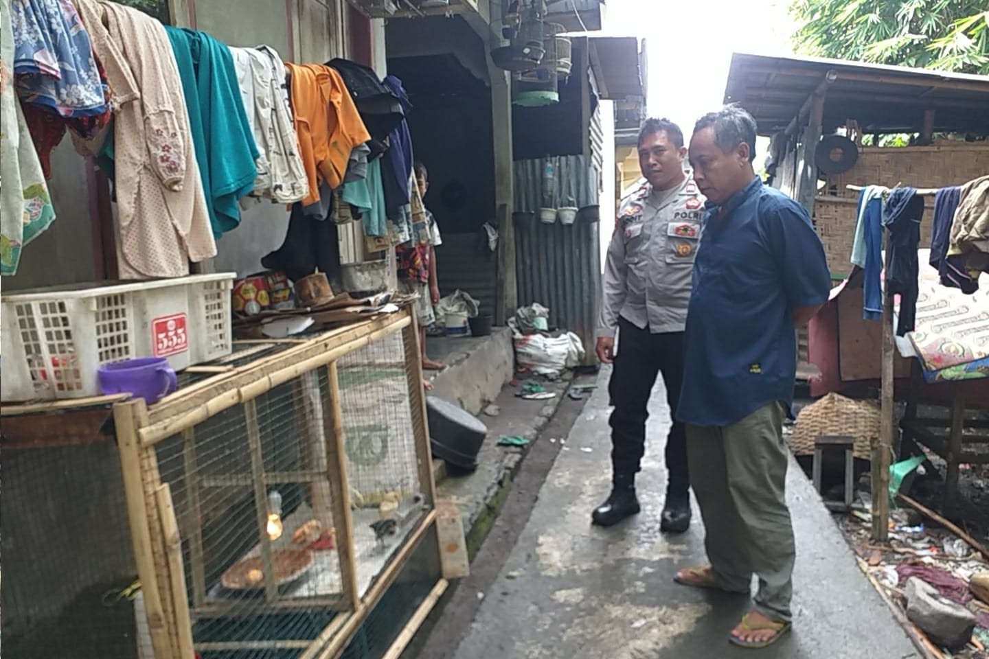 Pekarangan Jadi Lumbung: Inovasi Pangan di Desa Jagaraga