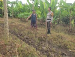 Polsek Labuapi Ajak Petani Tanam Komoditas Strategis di Lahan Pekarangan