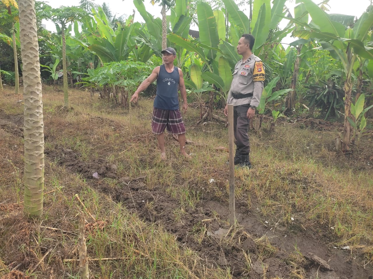 Bhabinkamtibmas Labuapi Gandeng Petani Tingkatkan Ketahanan Pangan dan Jaga Kamtibmas
