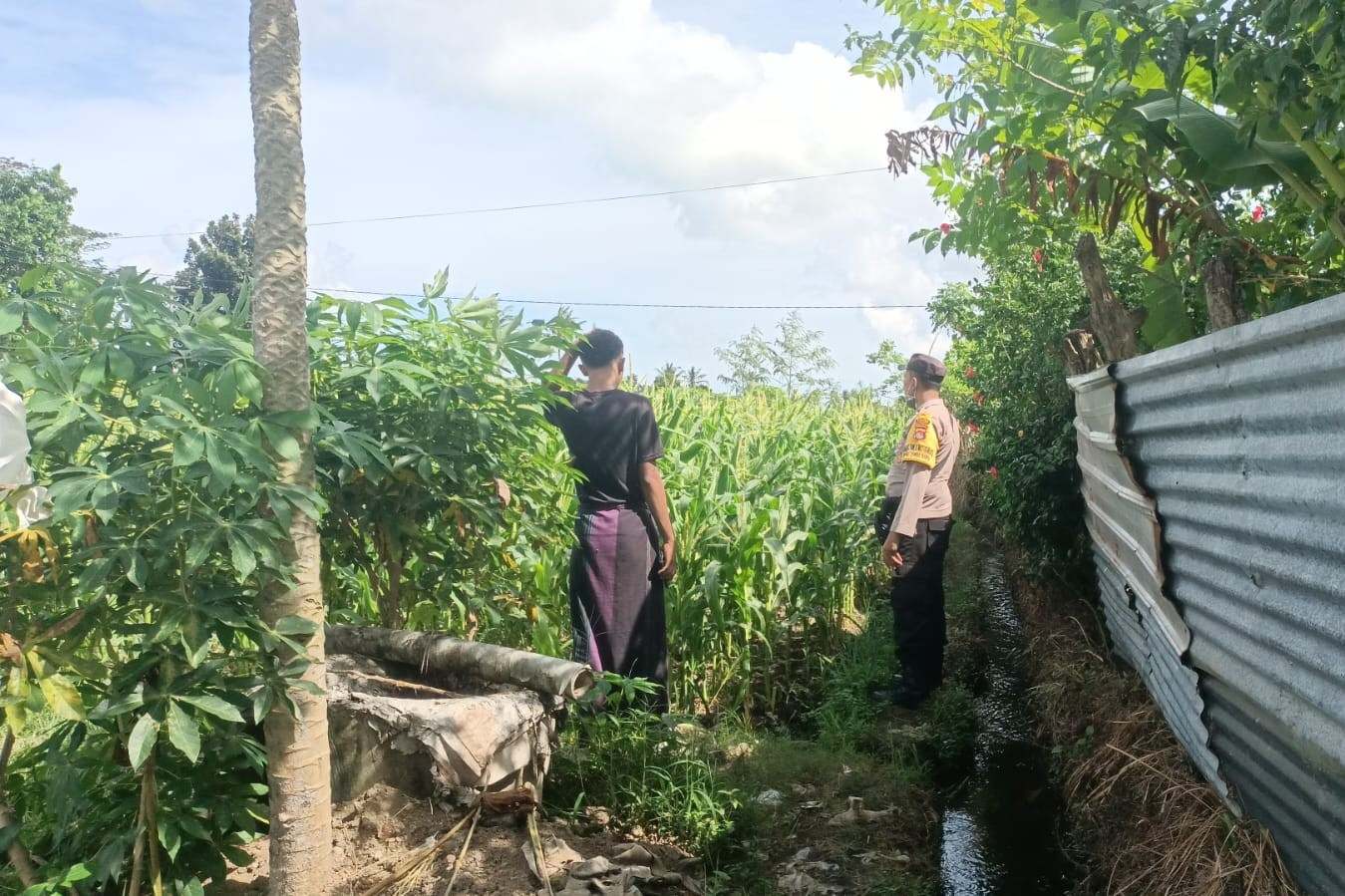 Jagung Bonanza dan Peran Polri dalam Ketahanan Pangan