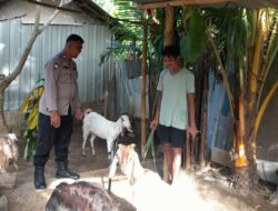 Optimalisasi Lahan Kosong untuk Ketahanan Pangan Desa Senggigi