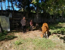 Sinergi Polisi dan Warga Wujudkan Desa Tangguh Pangan