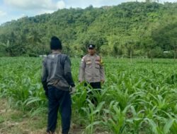 Polisi Sekotong Dukung Swasembada Pangan Lewat Pendekatan Desa