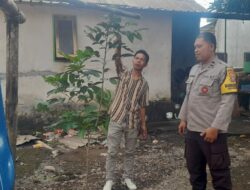 Pemanfaatan Pekarangan Rumah di Kuripan Jadi Model Ketahanan Pangan