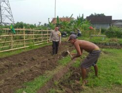 Program Pangan Keluarga: Polsek Kuripan Gandeng Petani Lokal