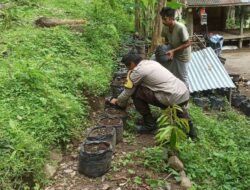 Bhabinkamtibmas Batulayar Dampingi Warga Tingkatkan Kemandirian Pangan