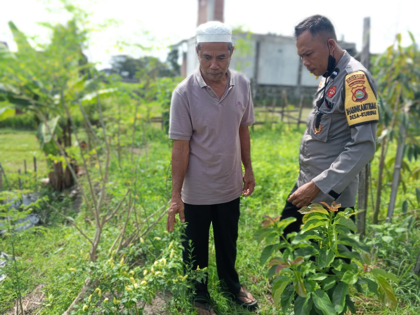 Polri Dorong Ketahanan Pangan di Desa Kuripan