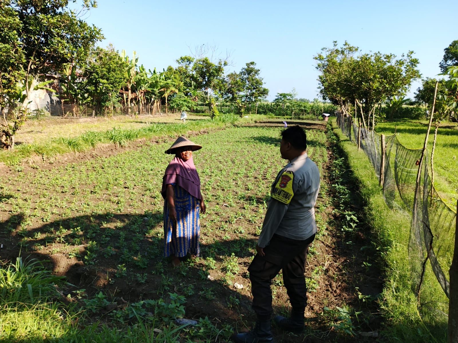 Polri di Lombok Barat Galakkan Ketahanan Pangan Skala Rumah Tangga