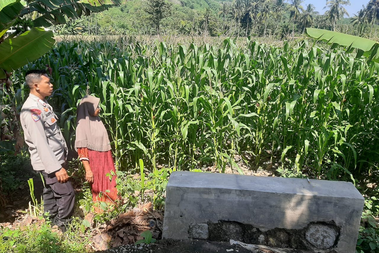 Polsek Lembar Dukung Ketahanan Pangan di Dusun Jelateng