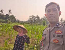 Petani Penimbung Dapat Dukungan Polsek Lembar untuk Tingkatkan Produksi