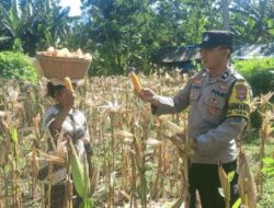 Dukung Swasembada Pangan, Bhabinkamtibmas Desa Taman Baru Sapa Petani