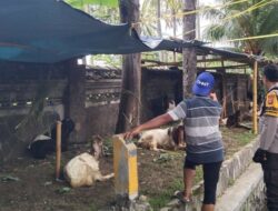 Pemanfaatan Pekarangan untuk Pangan: Langkah Nyata Polsek Batulayar di NTB