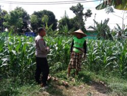 Pekarangan Produktif: Langkah Nyata Wujudkan Swasembada Pangan di Bagik Polak Barat