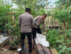 Motivasi Warga Binaan Manfaatkan Lahan Kosong dan Dukung Ketahanan Pangan Nasional Polsek Bolo Cek Pekarangan Bergizi