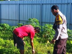 Kolaborasi Polri-Masyarakat Wujudkan Kemandirian Pangan di NTB