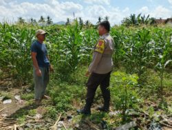 Sinergi Polri dan Warga Wujudkan Ketahanan Pangan di Lombok Barat