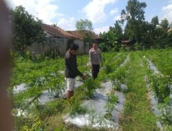 Sosialisasi Ketahanan Pangan oleh Bhabinkamtibmas Jagaraga Disambut Antusias Warga