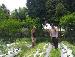 Bhabinkamtibmas Aktif di Desa Jagaraga, Warga Diajak Tanam Sayur Lewat Polibag