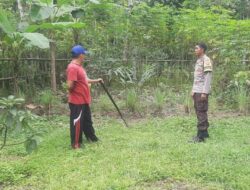 Pekarangan Produktif di Bengkaung, Langkah Nyata Warga Jaga Pangan