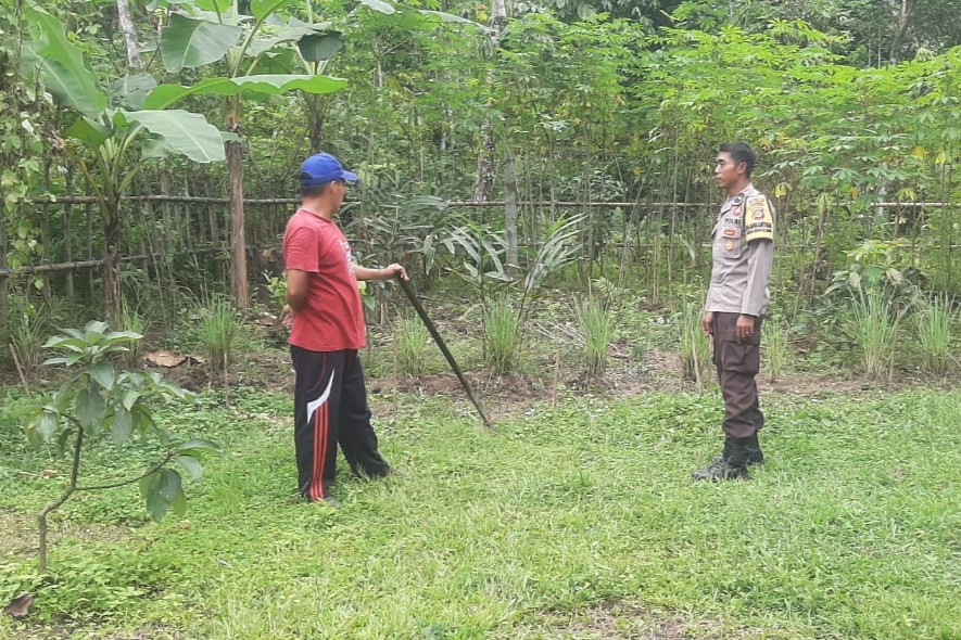 Batulayar Tunjukkan Peran Aktif Warga dalam Ketahanan Pangan Lokal
