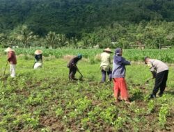 Ketahanan Pangan Berbasis Rumah Mulai Diterapkan di Karang Rumak