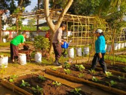 Bhabinkamtibmas Sosialisasikan Pemanfaatan Pekarangan untuk Ketahanan Pangan di Kuripan