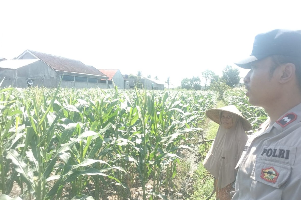 Polri dan Petani Labuapi Bersinergi, Perkuat Ketahanan Pangan Nasional Melalui Optimalisasi Lahan
