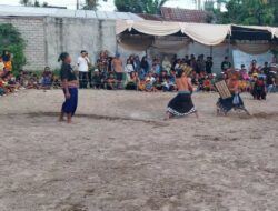 Tradisi Peresean Gaungkan Budaya Sasak di Kecamatan Labuapi