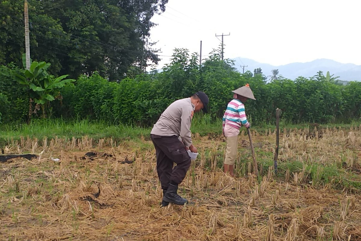 Sinergi Polri dan Warga Jagaraga Kembangkan Ketahanan Pangan Keluarga