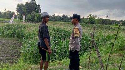 Sinergi Polri dan Petani: Lahan Tidur di Kuripan Utara Kini Produktif