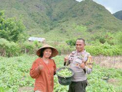 Sukseskan Program Ketahanan Pangan Nasional, Bhabinkamtibmas Polsek Monta Bantu Kegiatan Petani di Desa Binaan