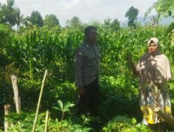 Ketahanan Pangan Berbasis Desa: Polri Gandeng Petani Kediri Lombok Barat