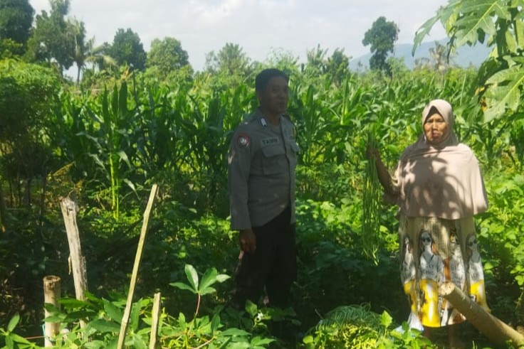 Pendekatan Humanis Polri di Sawah Karang Kuripan: Wujudkan Pangan Aman