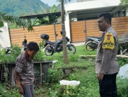 Pemanfaatan Lahan Kosong di Dusun Krandangan Jadi Contoh Ketahanan Pangan Lokal