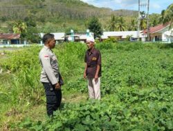 Dukung Pekarangan Pangan Bergizi, Polsek Sekotong Aktif Dampingi Warga Tembowong