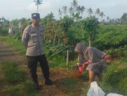 Bhabinkamtibmas Dorong Ketahanan Pangan di Montong Are, Lombok Barat