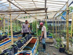 Polsek Labuapi Dukung Penuh Gerakan Tanam Sayur Warga Desa Bajur