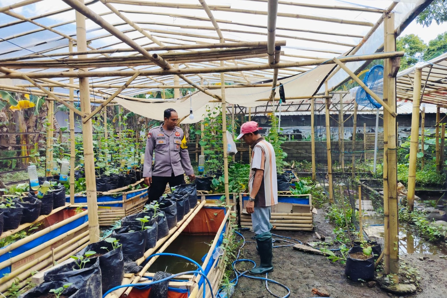 Bhabinkamtibmas Ajak Warga Dusun Tempit Tanam Sayur di Pekarangan Rumah
