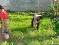 Bhabinkamtibmas Kuripan Bangun Kemandirian Pangan Warga Desa Jagaraga
