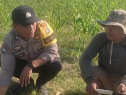 Sinergi Polisi dan Petani di Karang Bongkot untuk Jaga Ketahanan Pangan Lombok Barat