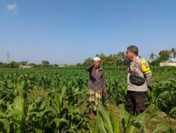Aiptu Ragil Agus S Edukasi Warga Perempung tentang Pemanfaatan Pekarangan Rumah