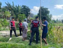 Sat Samapta Polres Lobar Pantau Tanam Jagung di Kebon Ayu